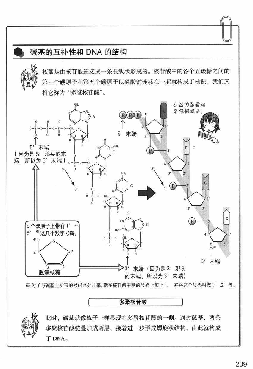 《欧姆社学习漫画》漫画 生物化学