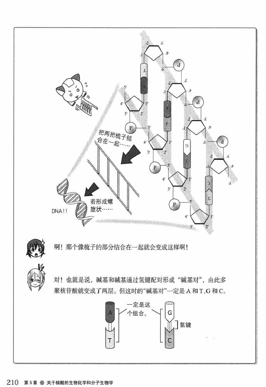 《欧姆社学习漫画》漫画 生物化学