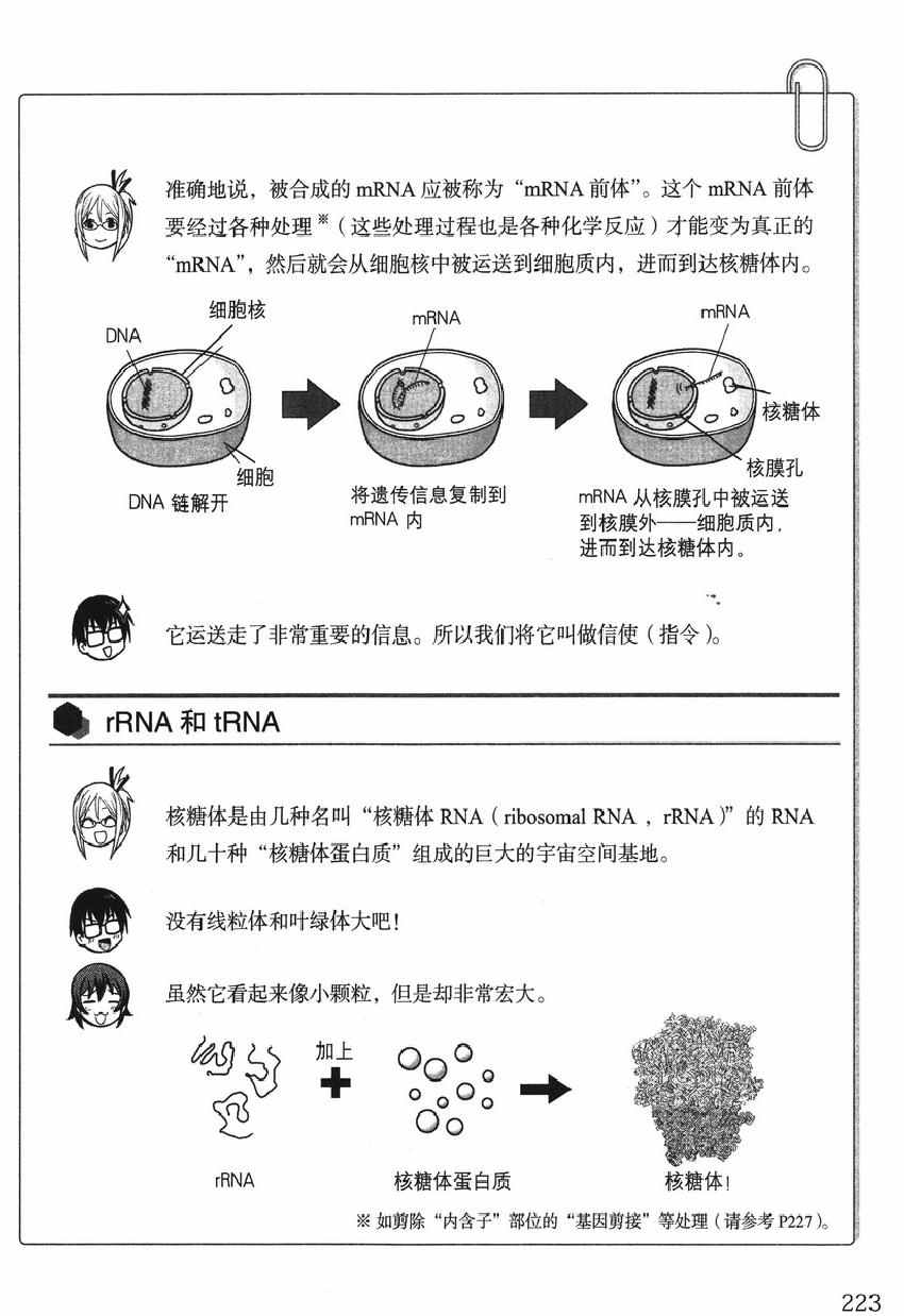 《欧姆社学习漫画》漫画 生物化学