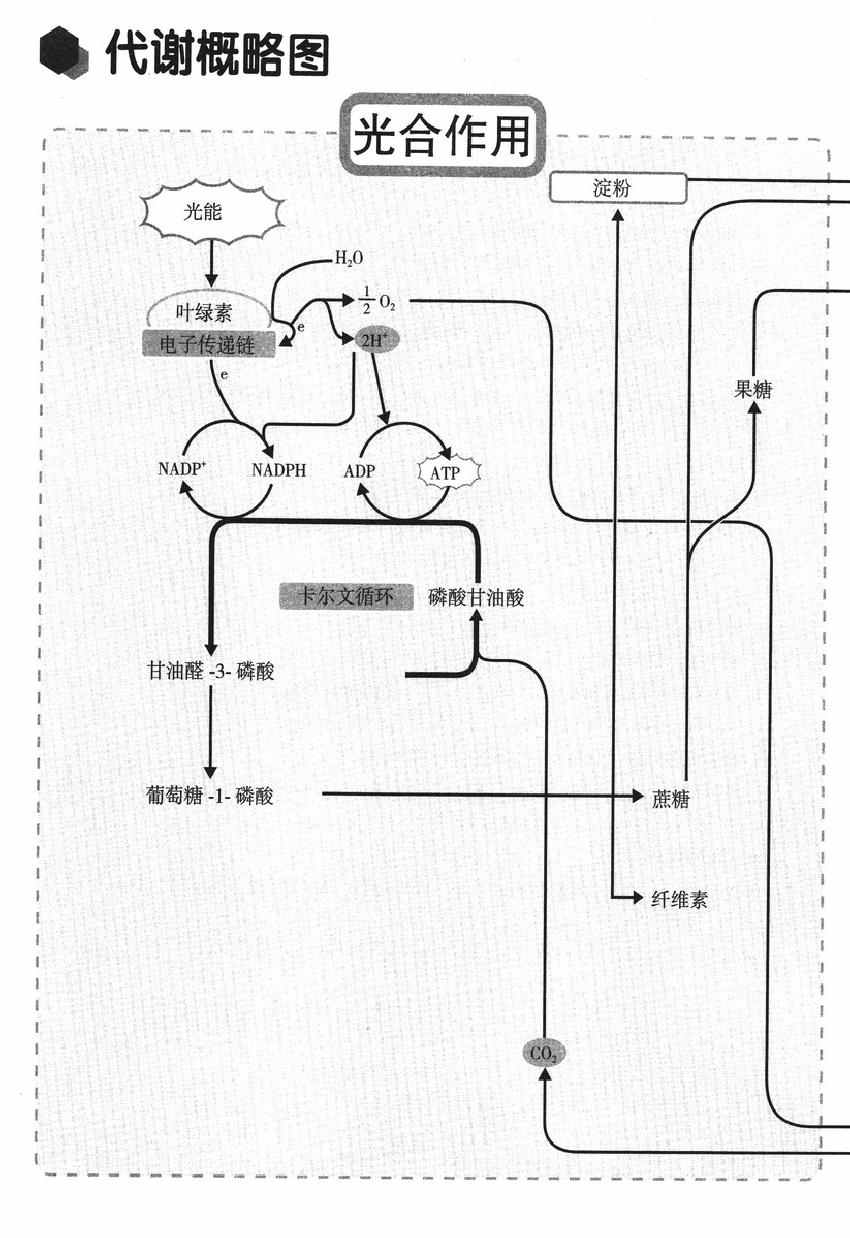 《欧姆社学习漫画》漫画 生物化学