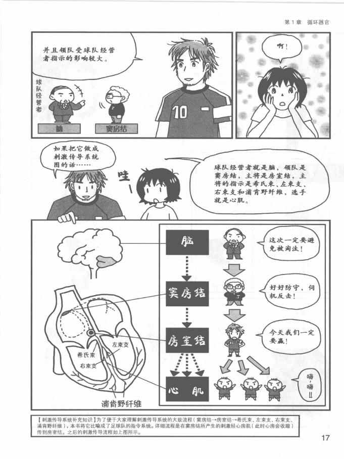 《欧姆社学习漫画》漫画 生理学