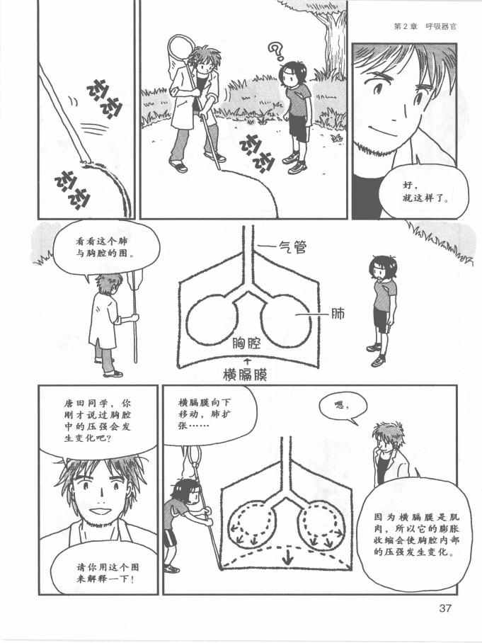 《欧姆社学习漫画》漫画 生理学