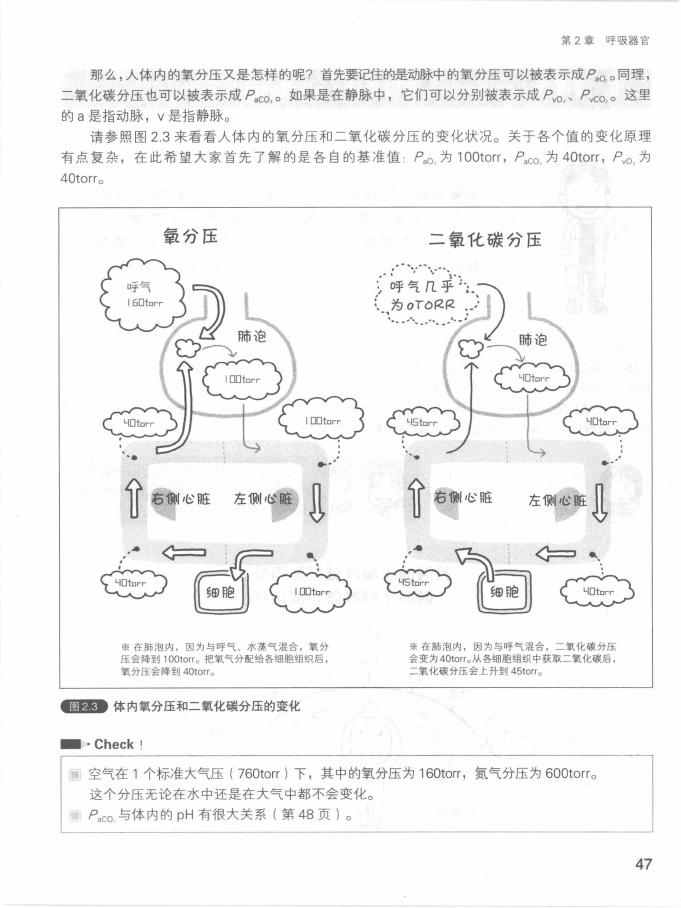 《欧姆社学习漫画》漫画 生理学