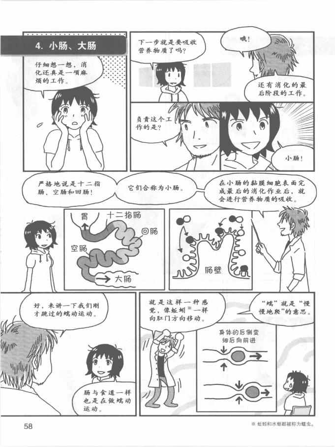 《欧姆社学习漫画》漫画 生理学