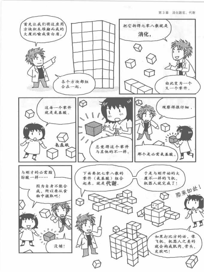 《欧姆社学习漫画》漫画 生理学