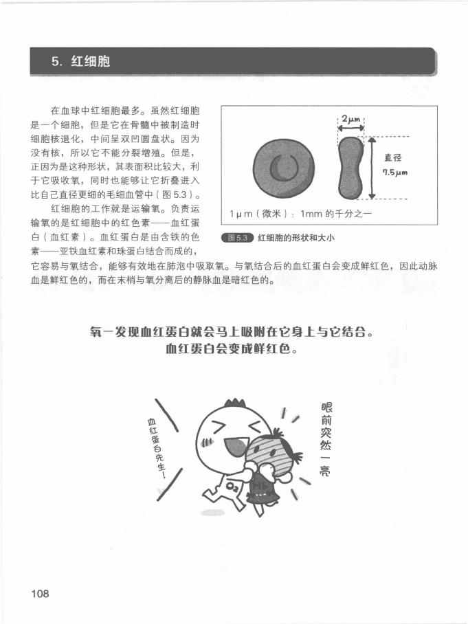 《欧姆社学习漫画》漫画 生理学