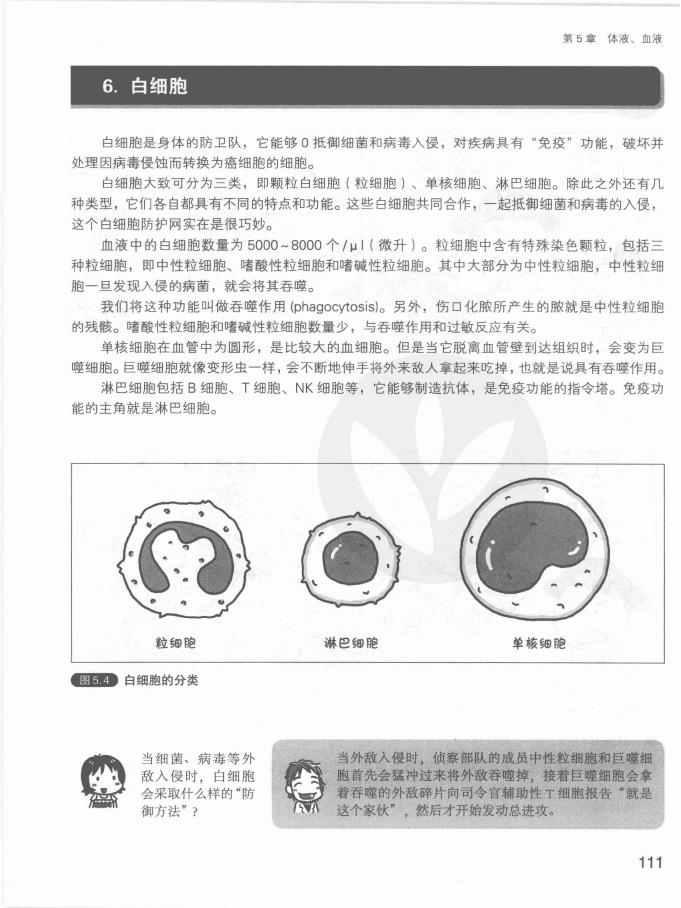 《欧姆社学习漫画》漫画 生理学