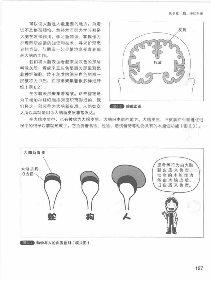 《欧姆社学习漫画》漫画 生理学