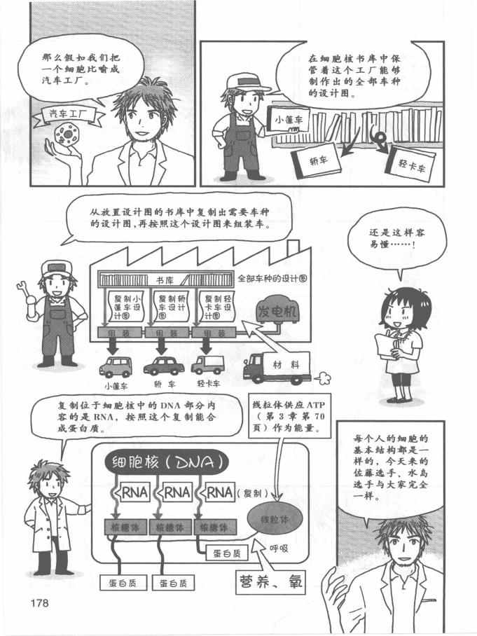 《欧姆社学习漫画》漫画 生理学