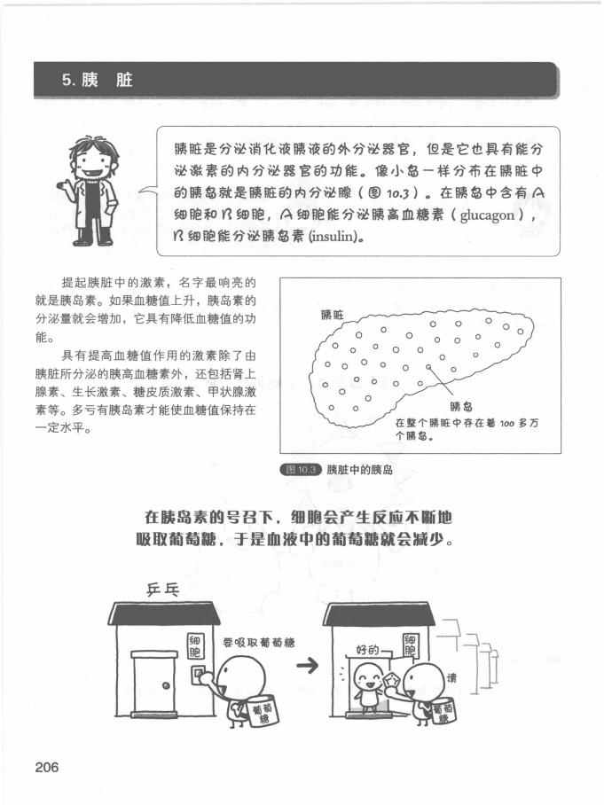 《欧姆社学习漫画》漫画 生理学