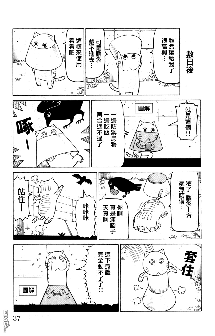 《我家的街猫》漫画 第3卷