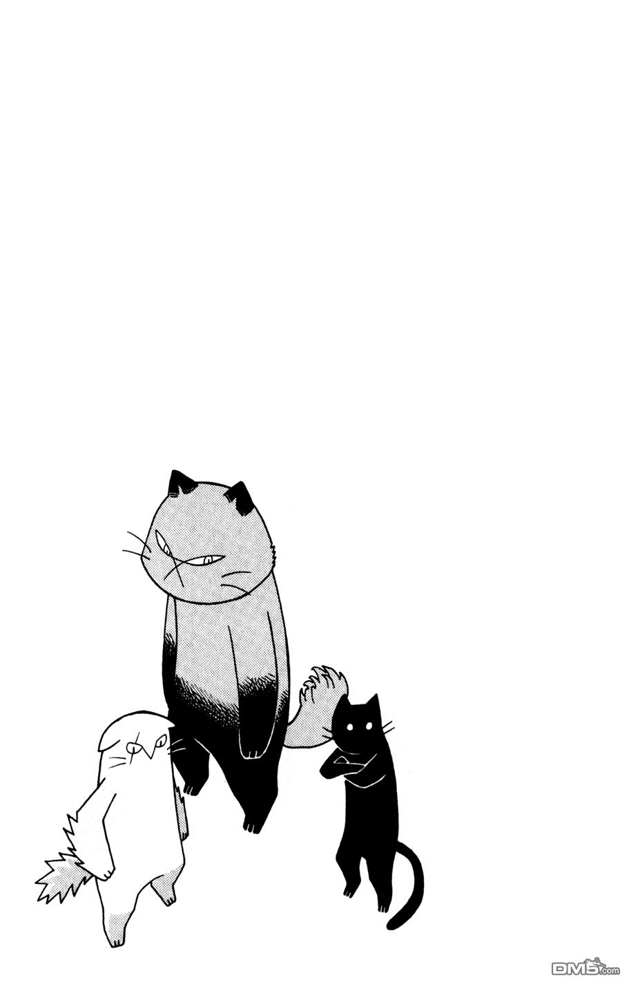 《我家的街猫》漫画 第3卷