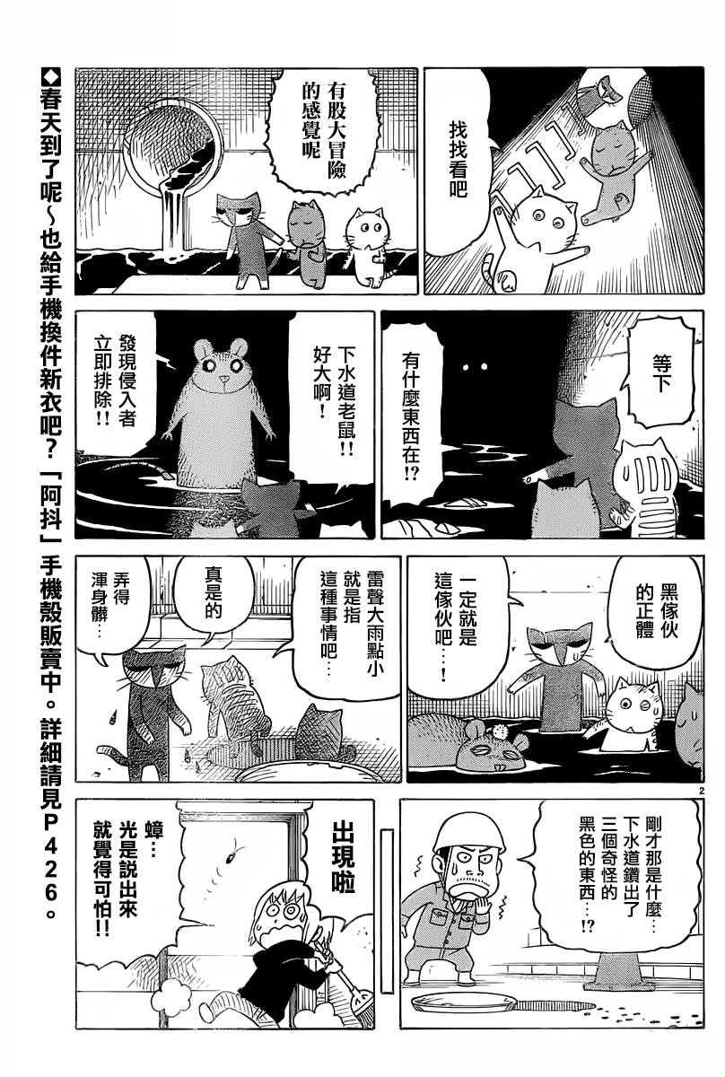 《我家的街猫》漫画 第311话