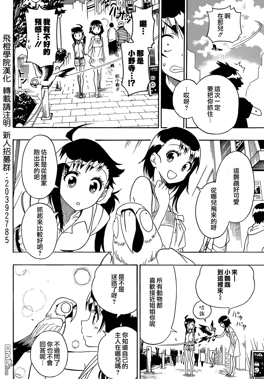 《伪恋》漫画 第104话