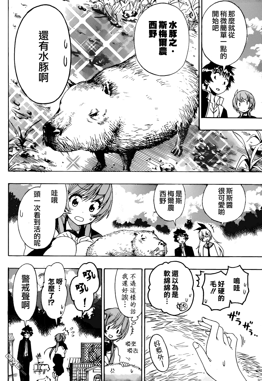 《伪恋》漫画  第142话