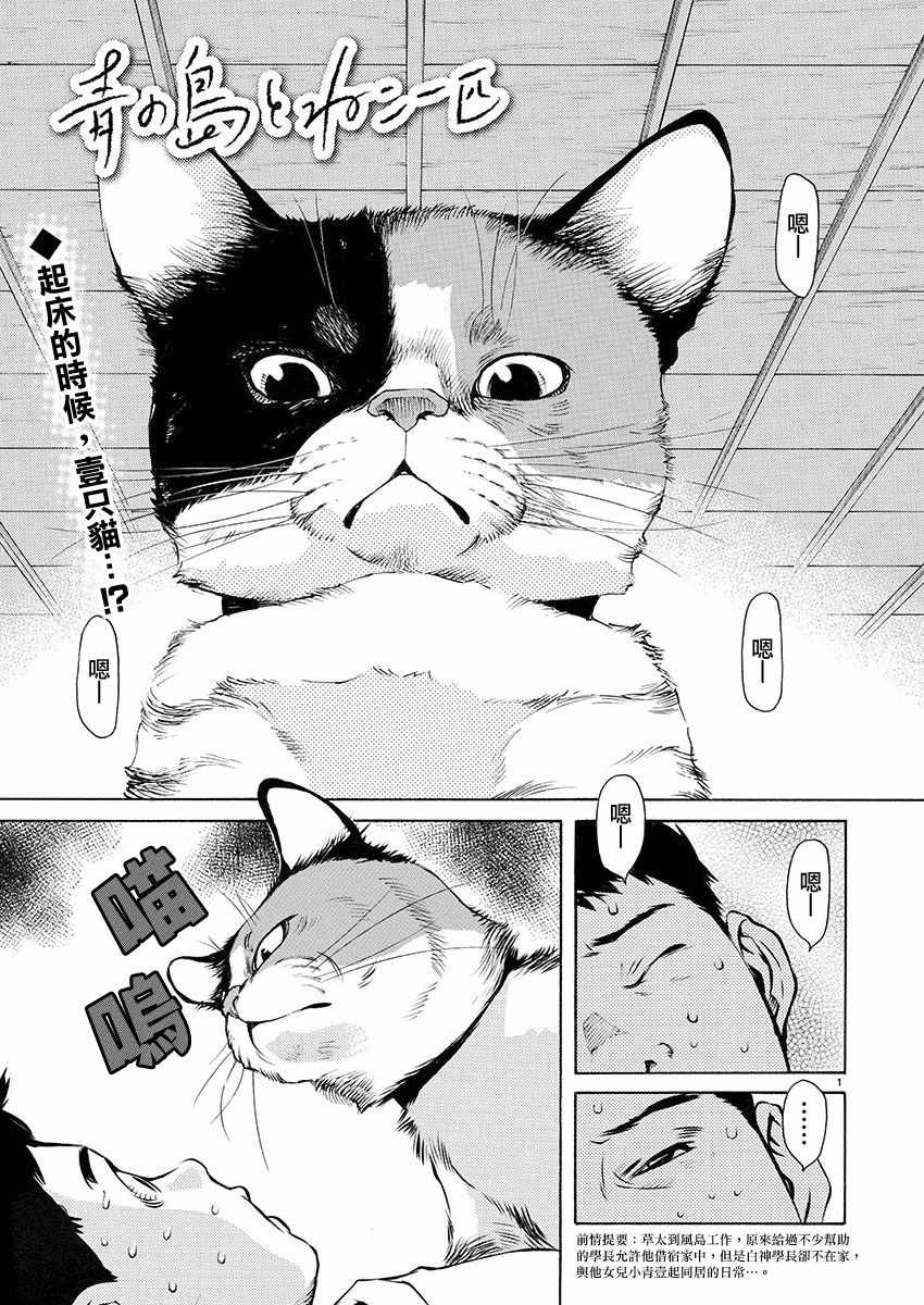 《海岛与少女还有猫》漫画 004话