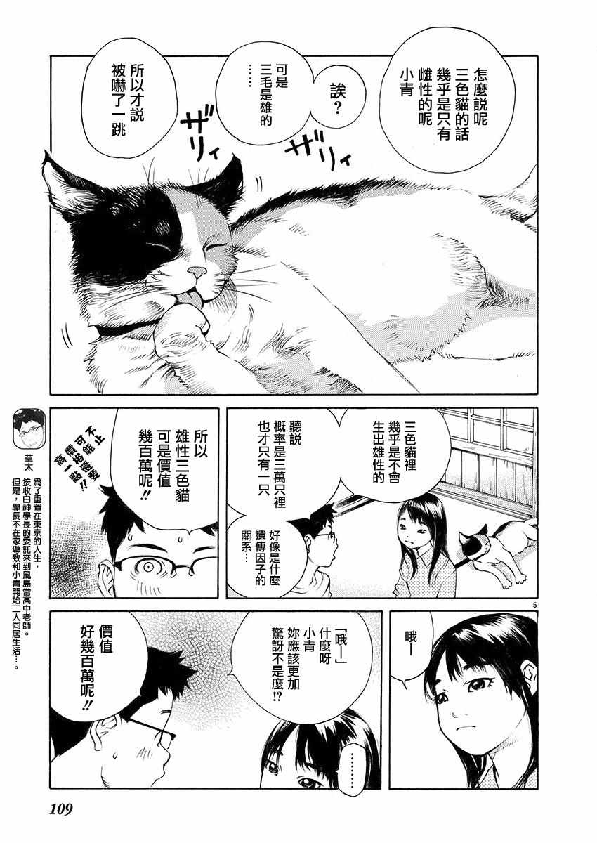 《海岛与少女还有猫》漫画 004话