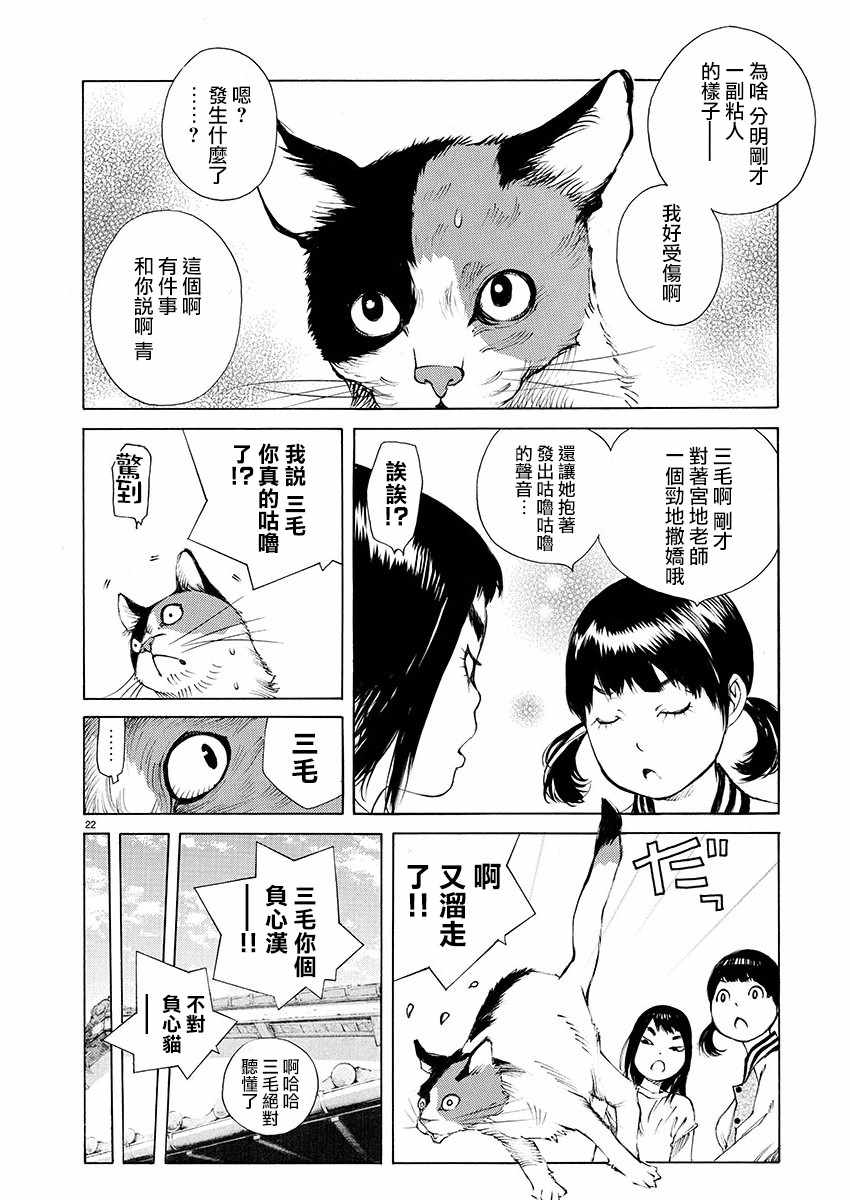 《海岛与少女还有猫》漫画 019集