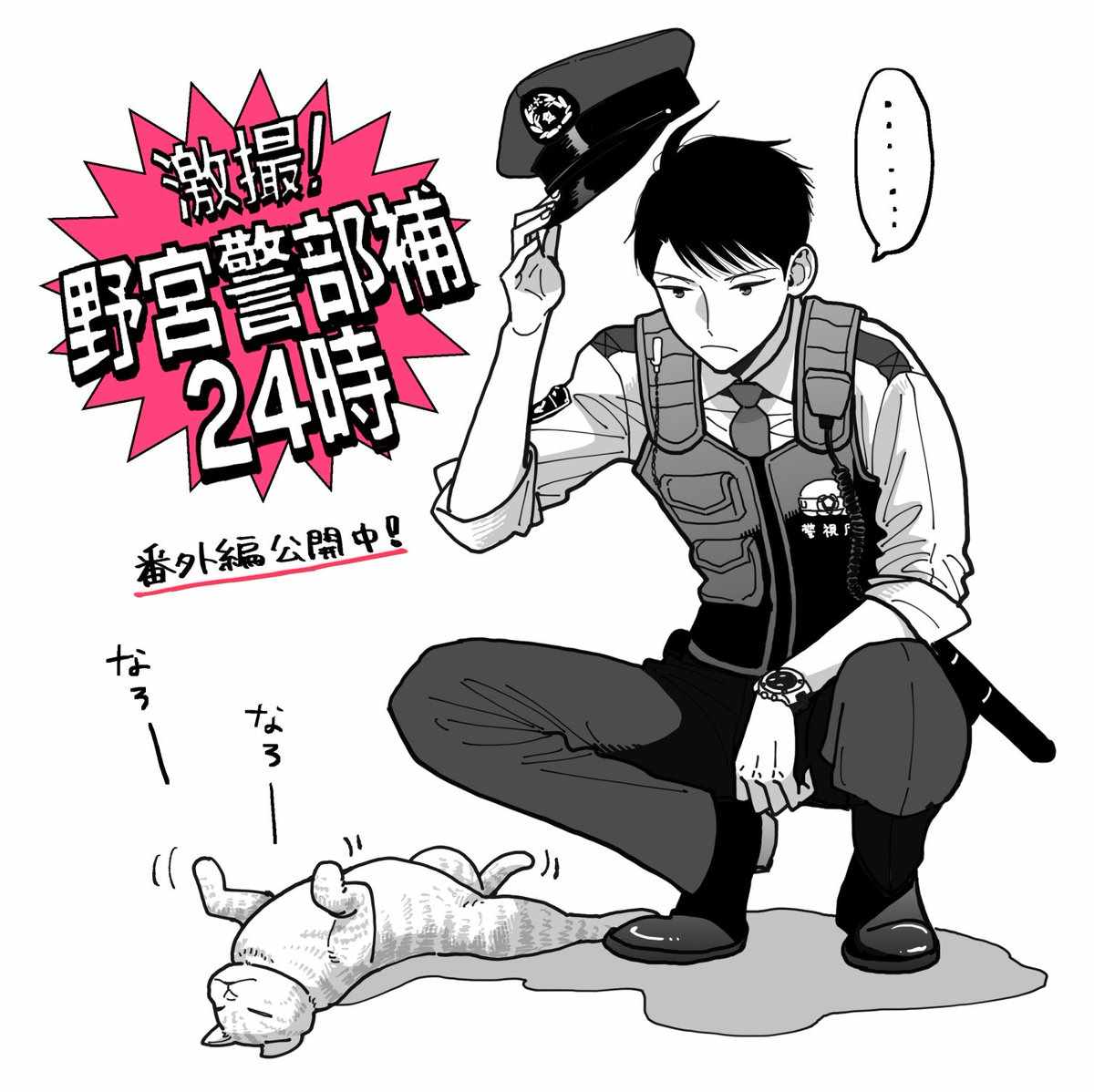 《野宫警部补是不会允许的》漫画 野宫警部补 010话