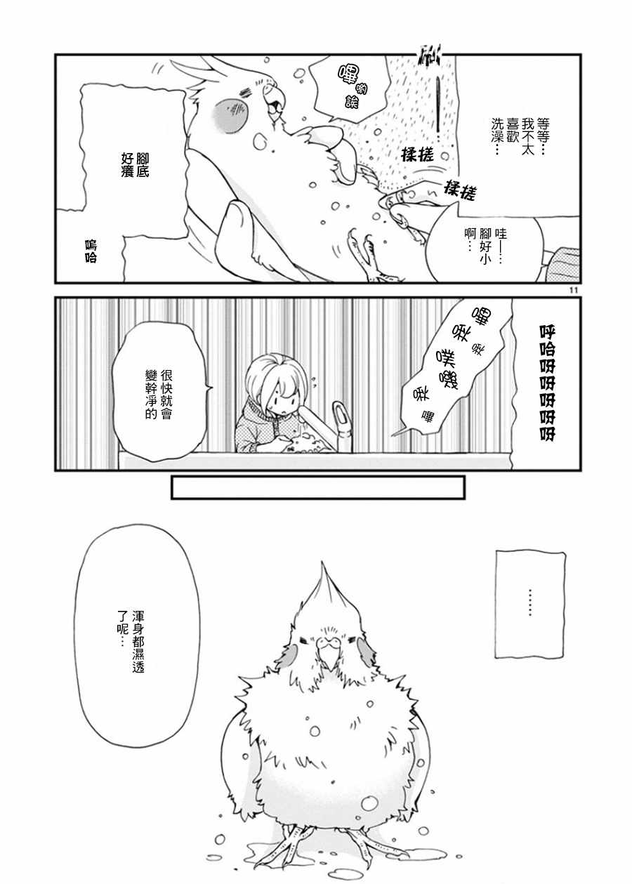 《我是鹦鹉五十滋》漫画 011话