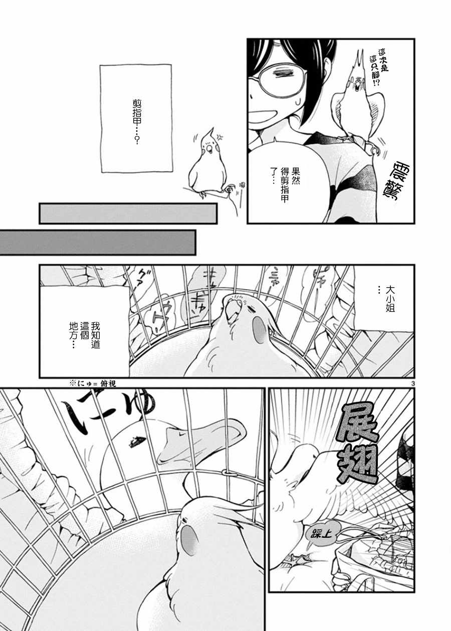 《我是鹦鹉五十滋》漫画 012话