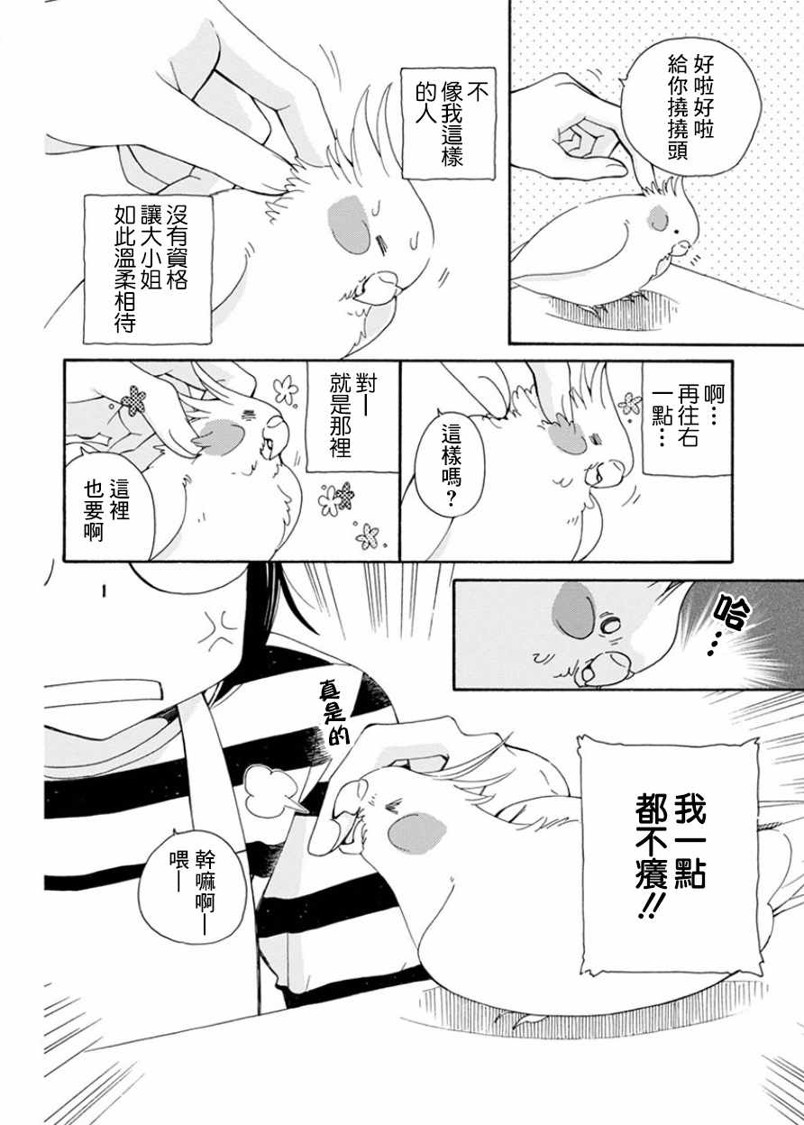 《我是鹦鹉五十滋》漫画 番外2