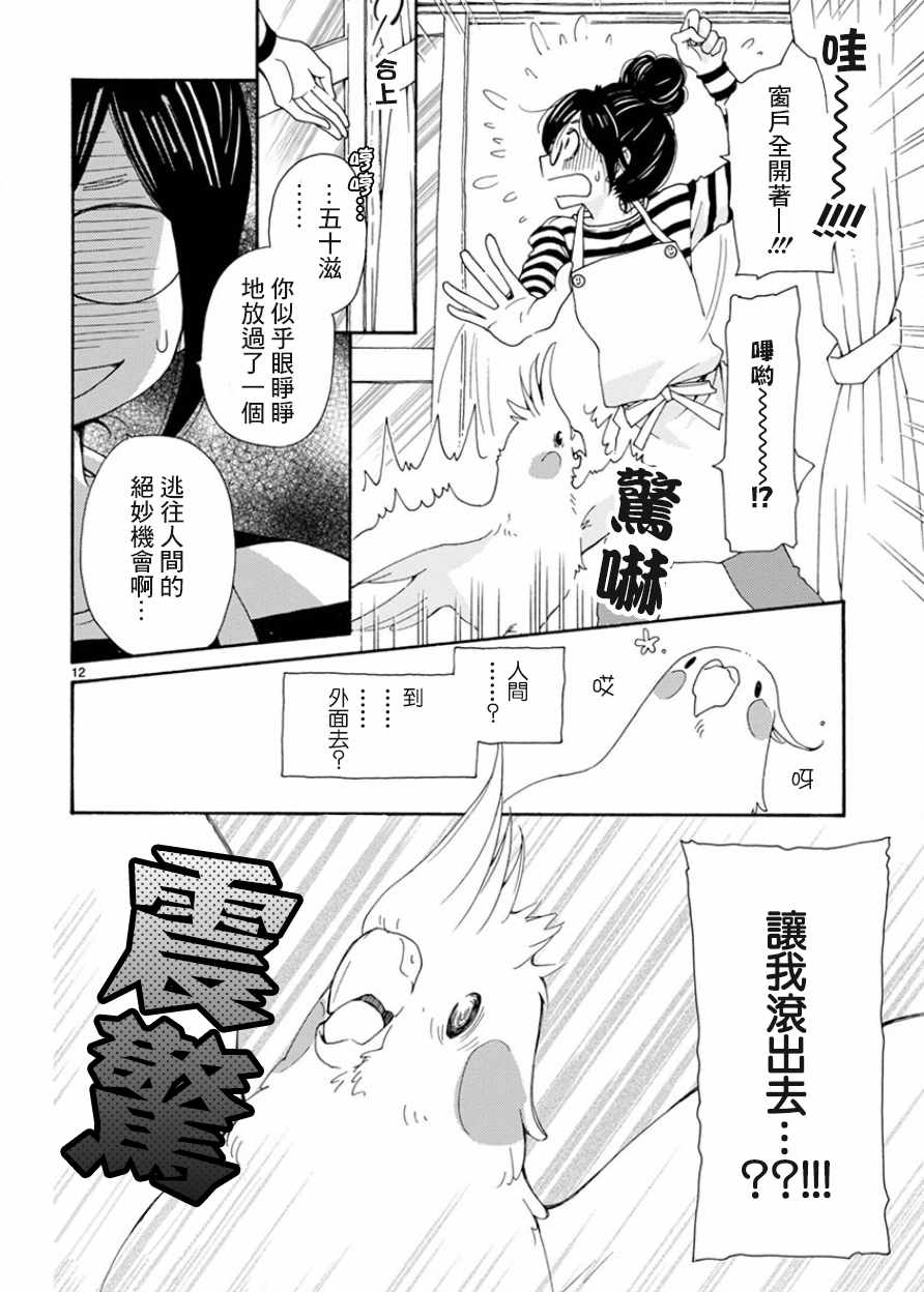 《我是鹦鹉五十滋》漫画 番外2