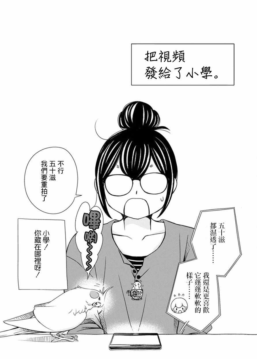 《我是鹦鹉五十滋》漫画 022话