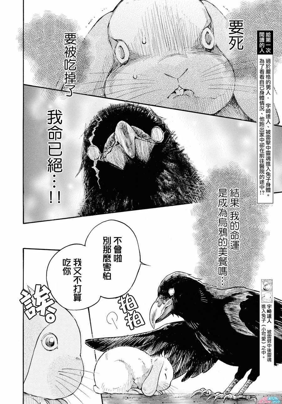 《我变成兔子了》漫画 005话