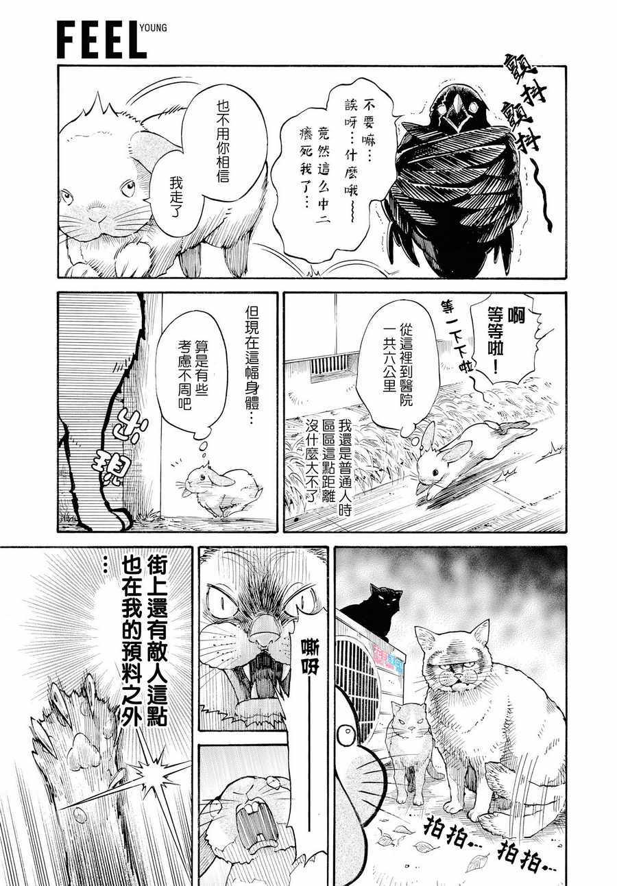 《我变成兔子了》漫画 005话