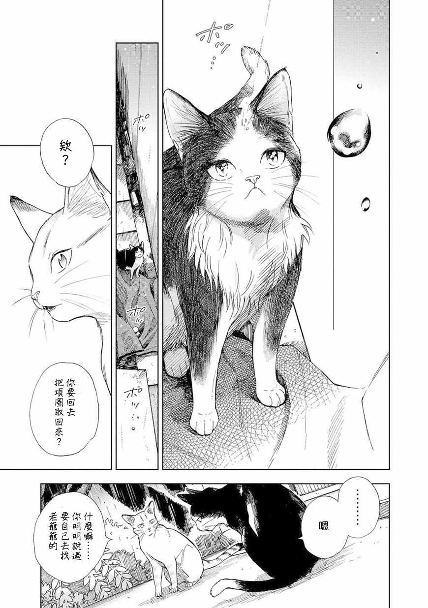 《流浪猫的一生》漫画 003话