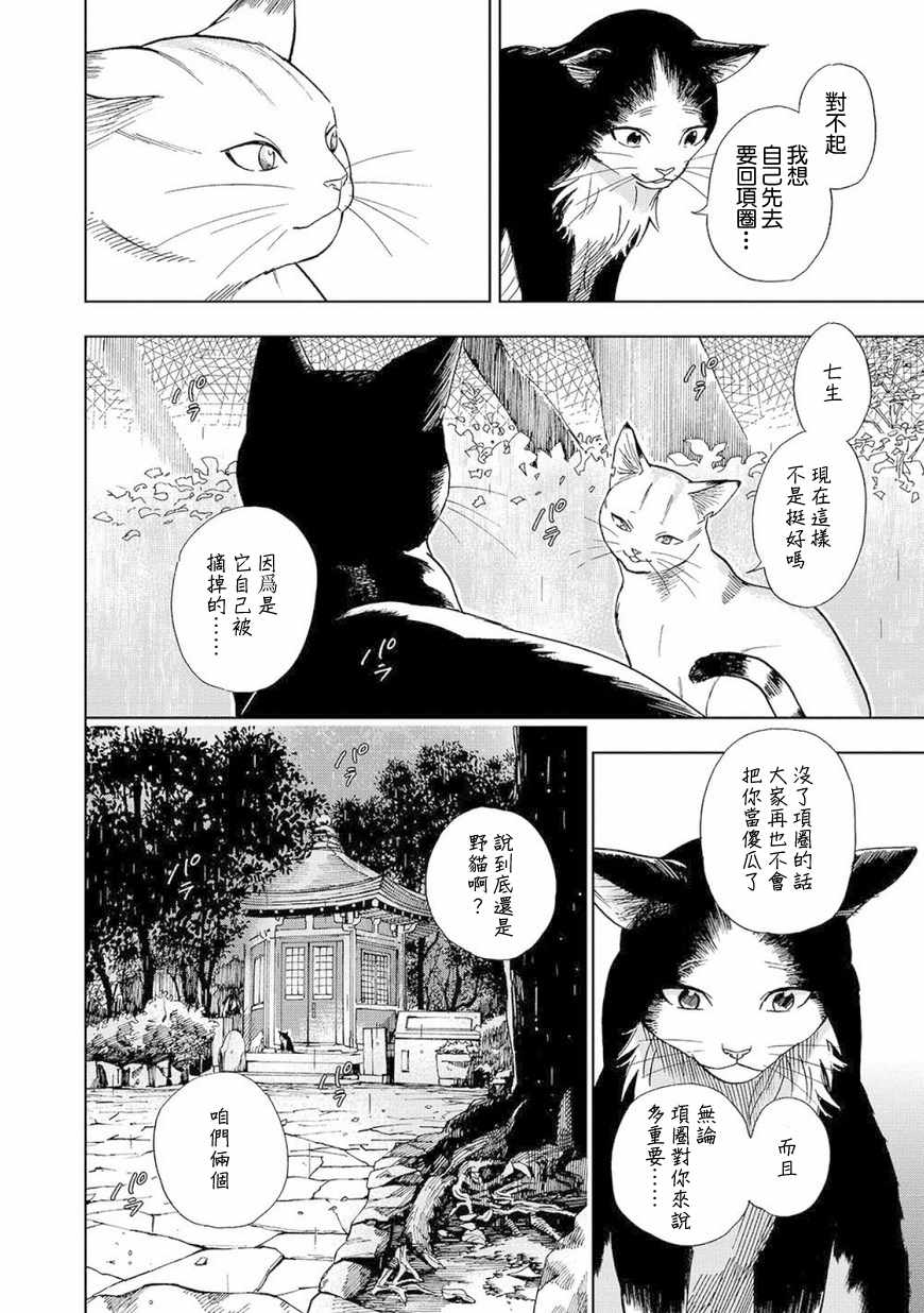 《流浪猫的一生》漫画 003话