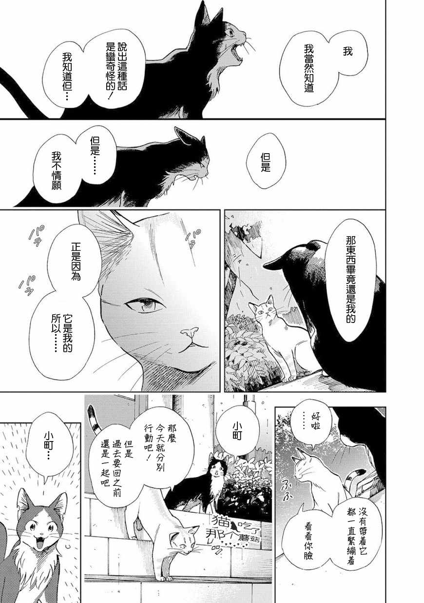 《流浪猫的一生》漫画 003话