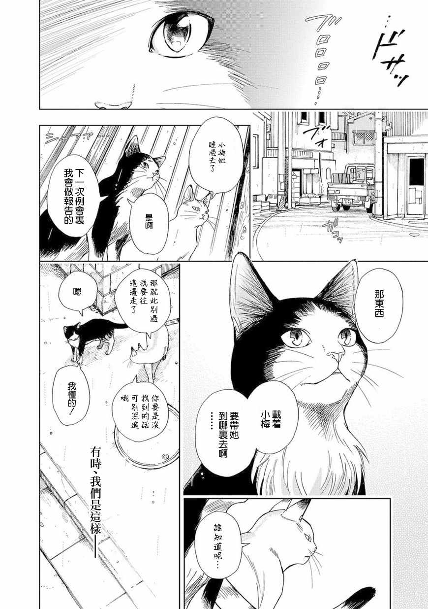 《流浪猫的一生》漫画 003话