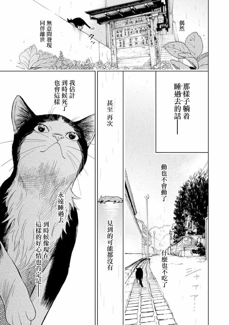 《流浪猫的一生》漫画 003话