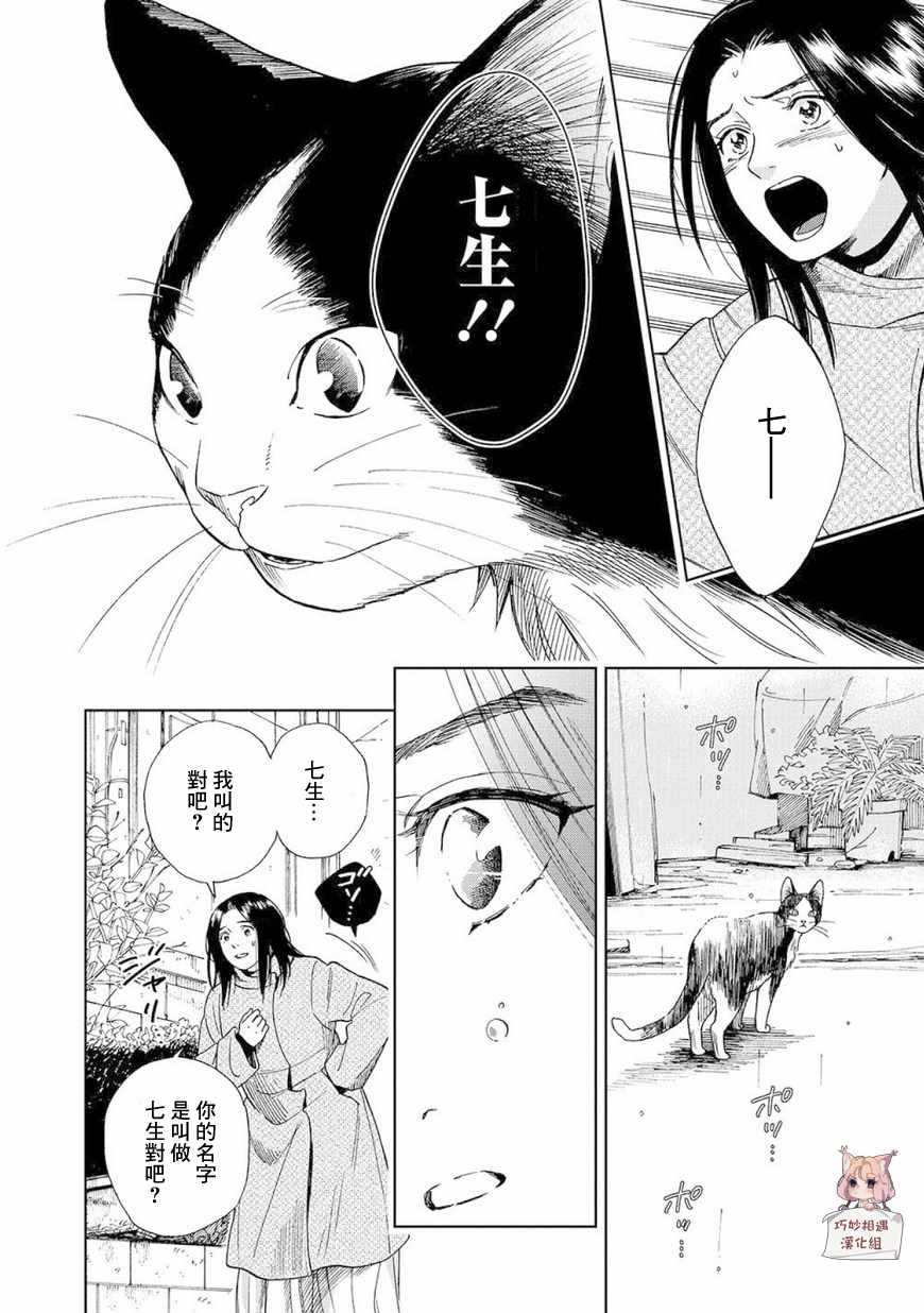 《流浪猫的一生》漫画 003话