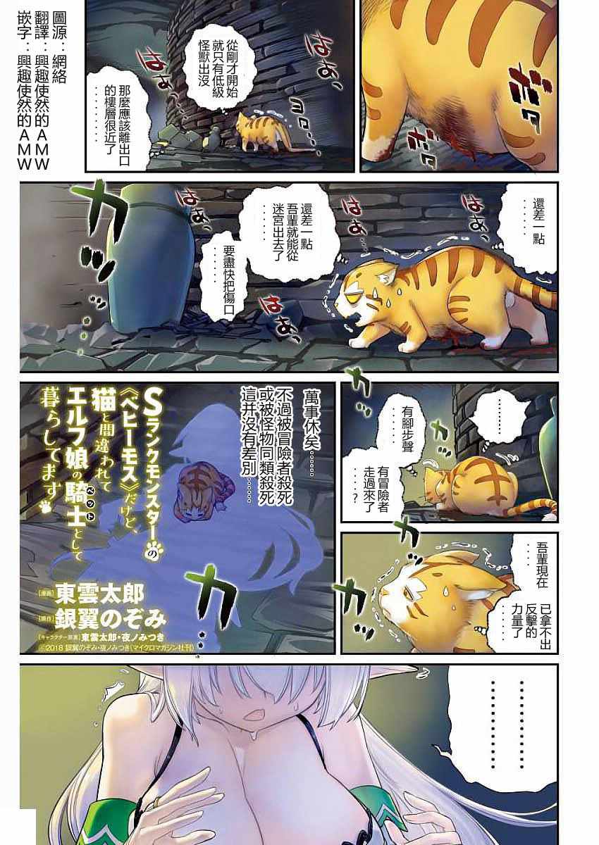 《重生的猫骑士与精灵娘的日常》漫画 猫骑士与精灵娘 001话