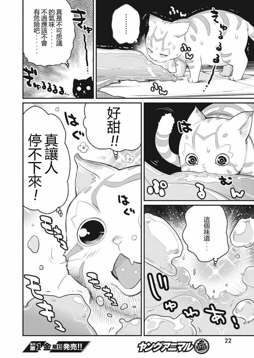 《重生的猫骑士与精灵娘的日常》漫画 猫骑士与精灵娘 001话