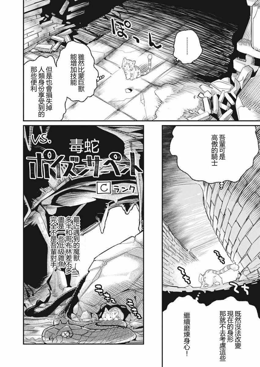 《重生的猫骑士与精灵娘的日常》漫画 猫骑士与精灵娘 001话