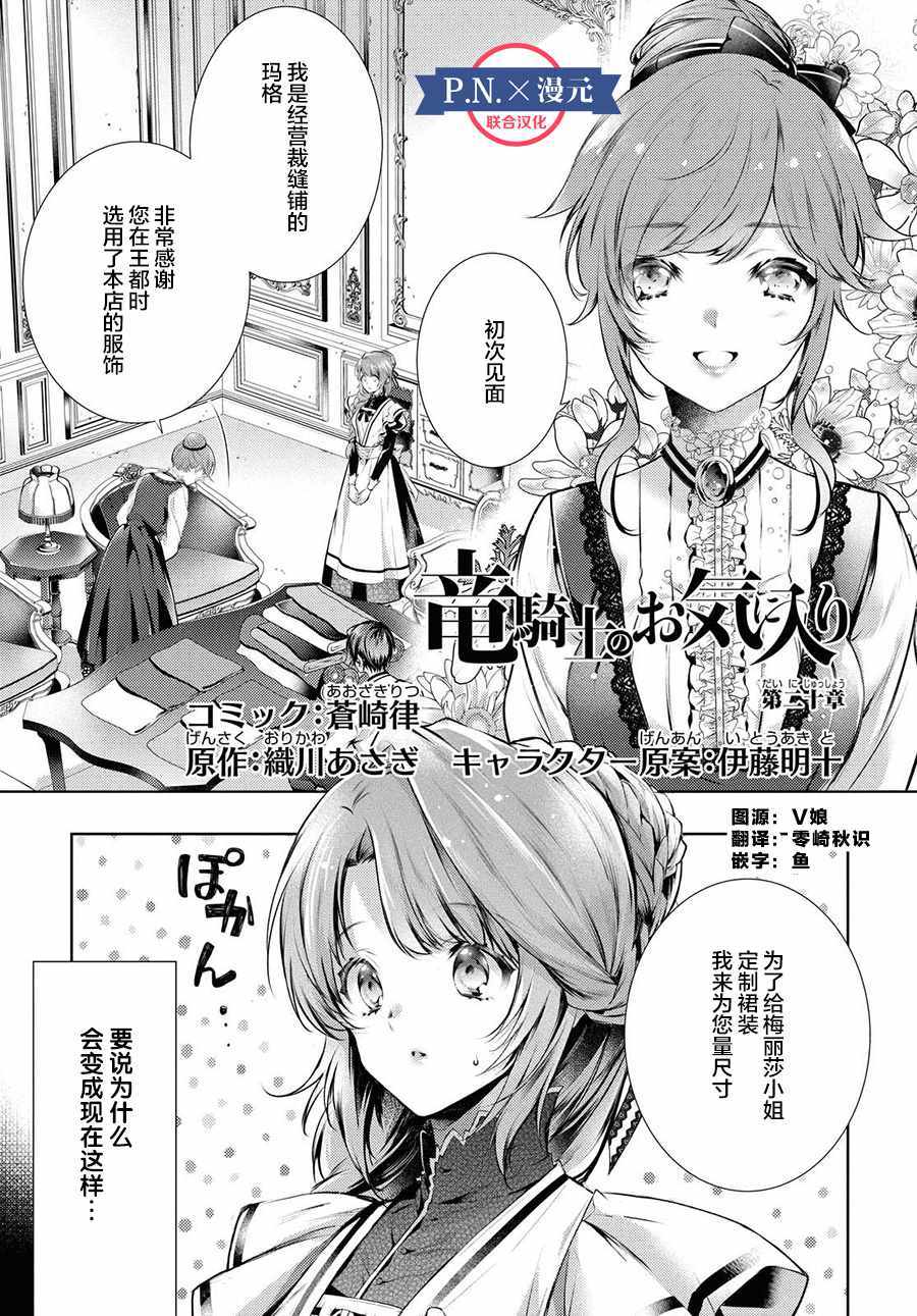 《龙骑士的宠儿》漫画 020集