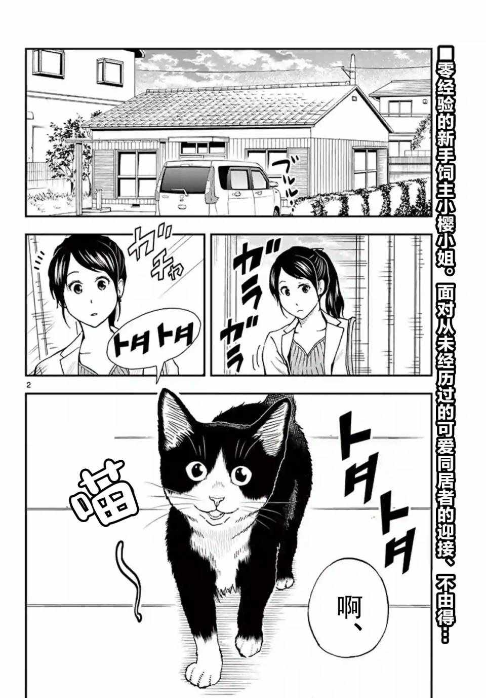 《爱猫相伴的玩家小姐》漫画 003集