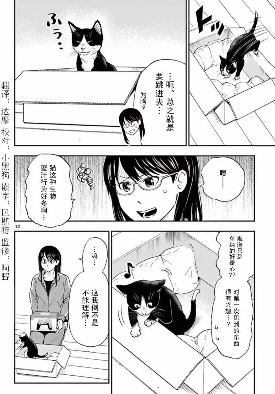 《爱猫相伴的玩家小姐》漫画 007集