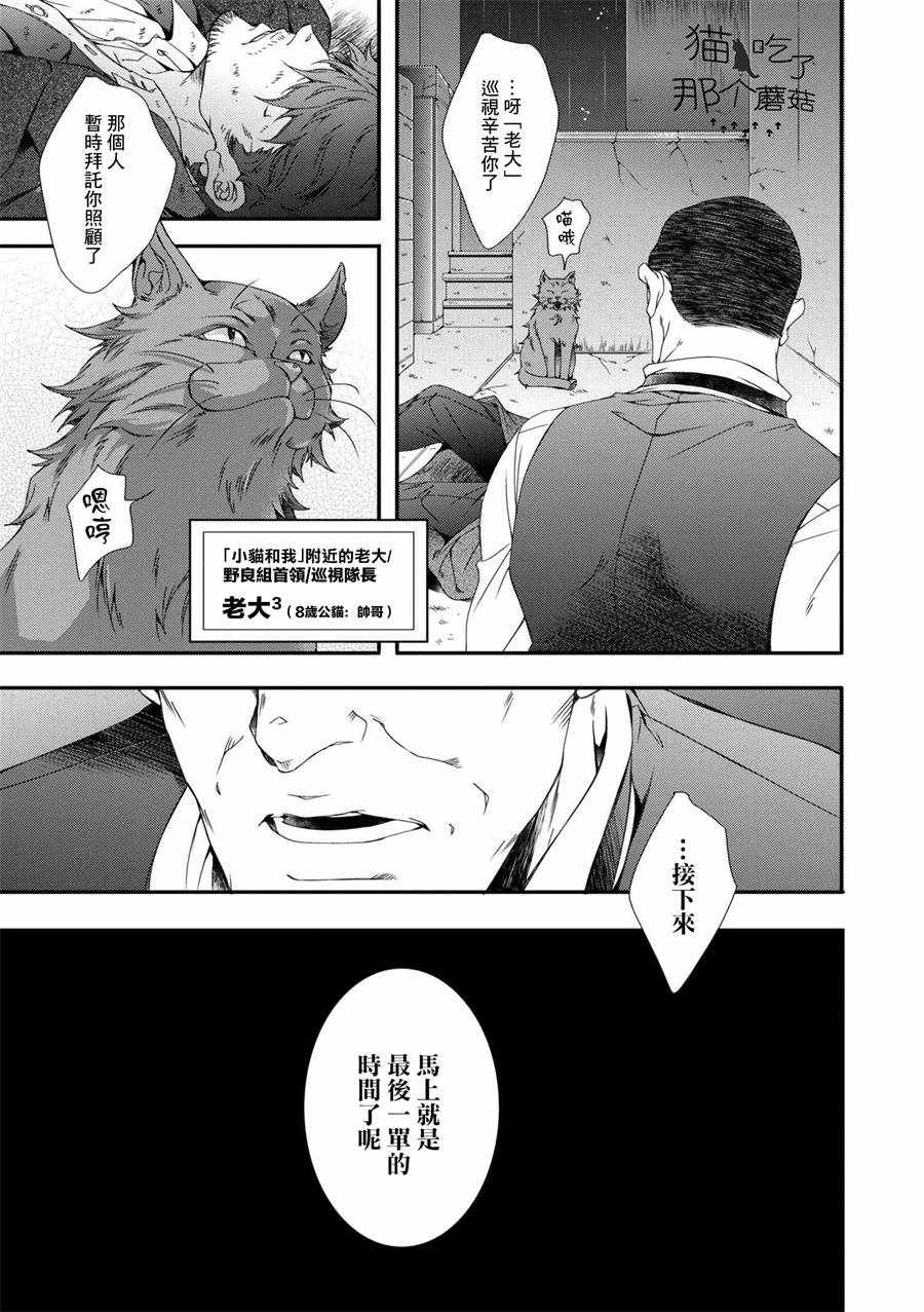 《酒与泪和男人还有猫咪》漫画 酒泪男人猫咪 006集