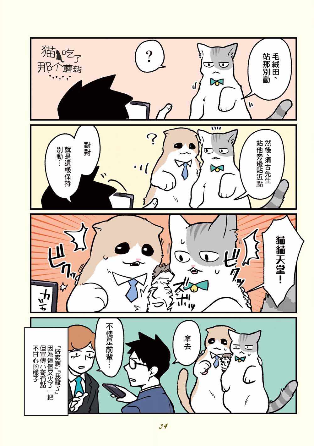 《黑心企业的职员变成猫之后人生有了转变的故事》漫画 变成猫之后 013集