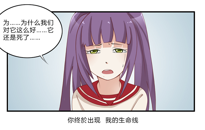 《未婚爸爸》漫画 048话