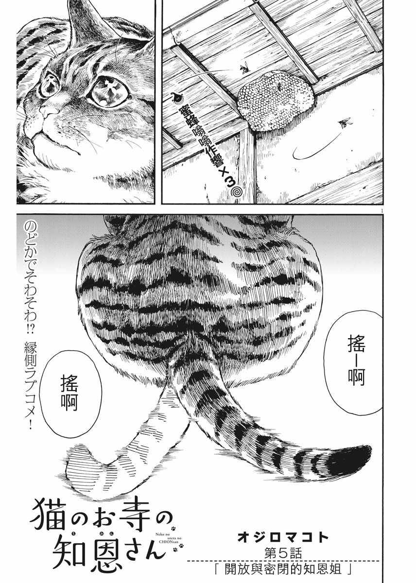 《猫之寺的知恩姐》漫画 005话