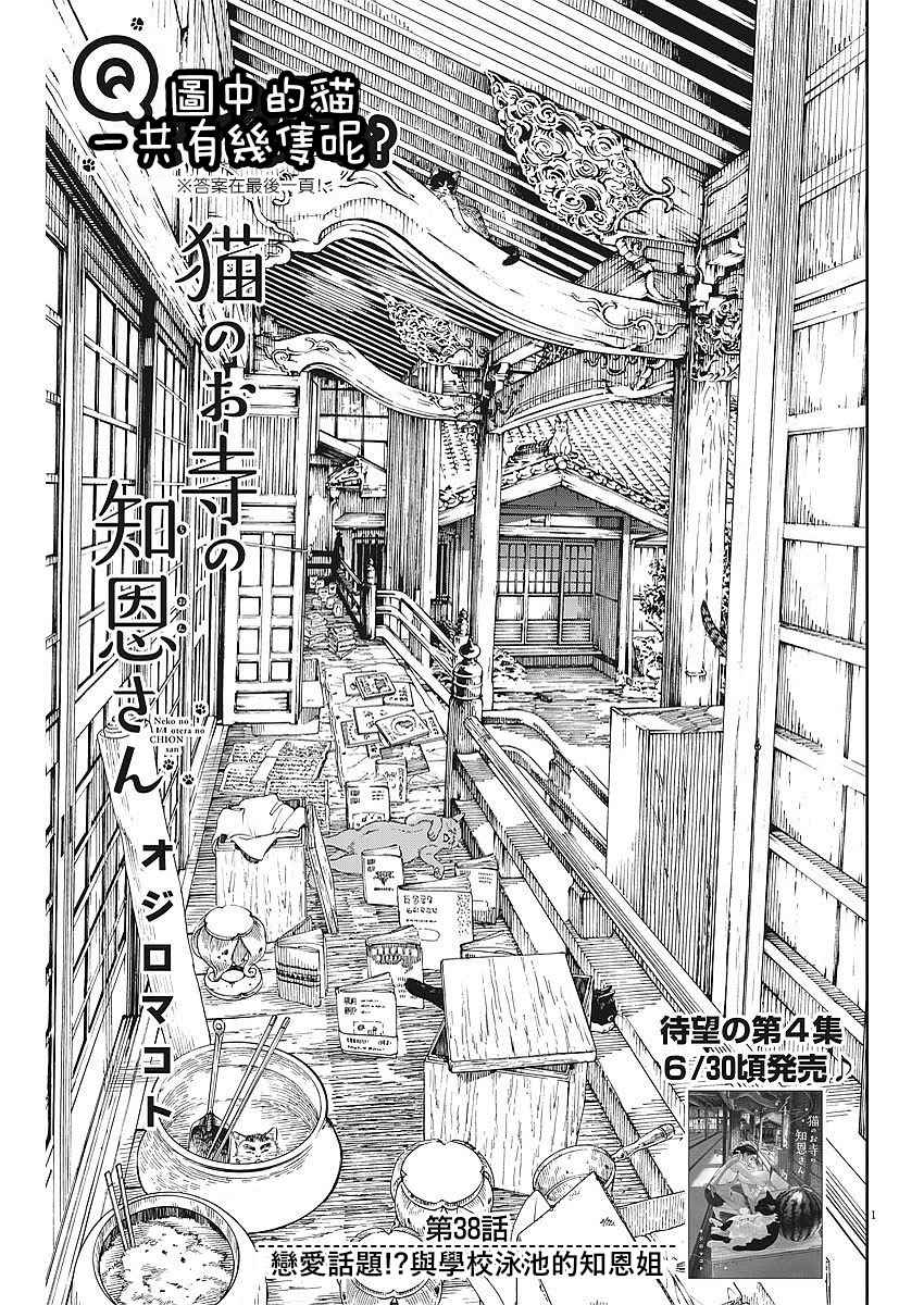 《猫之寺的知恩姐》漫画 038话