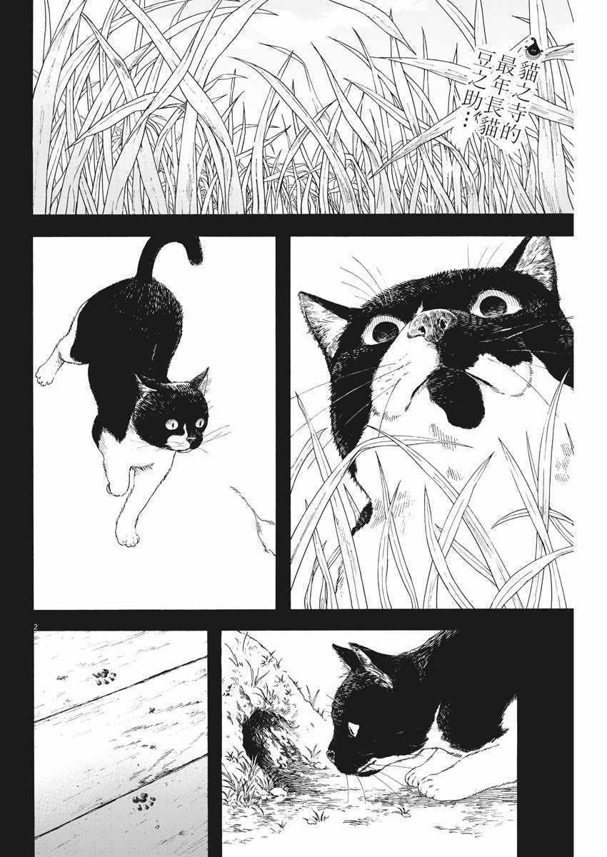 《猫之寺的知恩姐》漫画 068话