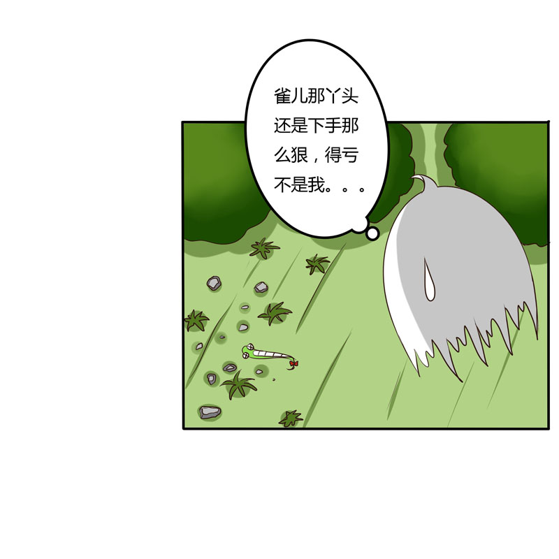 《通灵妃》漫画 031话