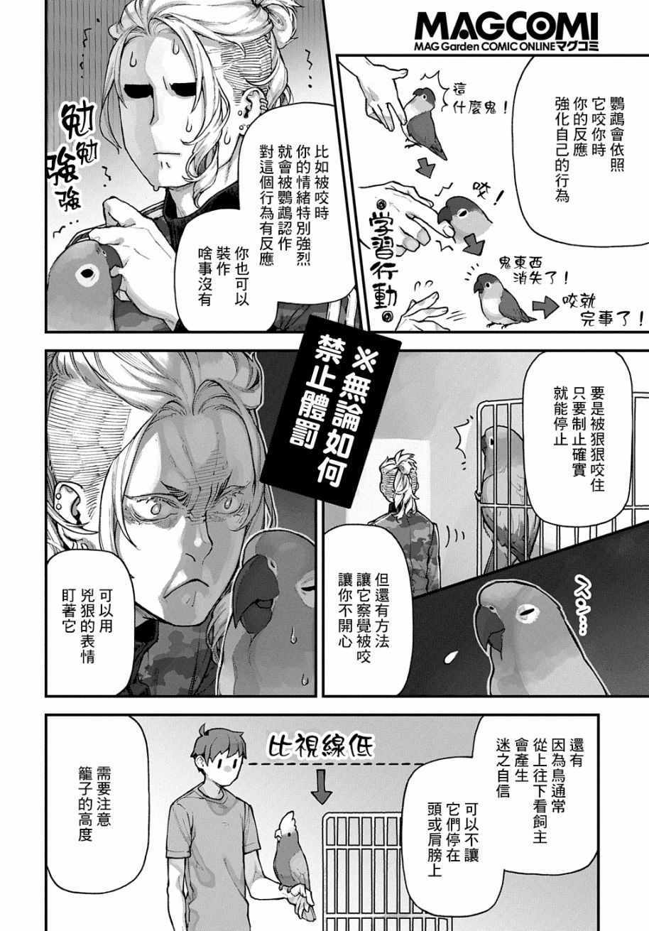 《鸟成瘾者》漫画 008集